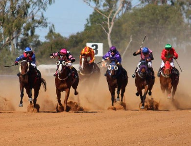 Bush horse racing