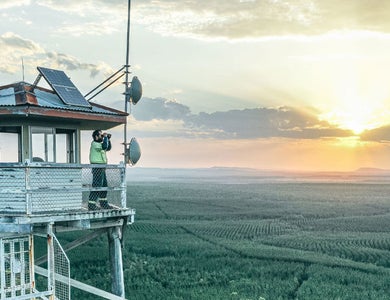 Fire tower lookout over tree plantation