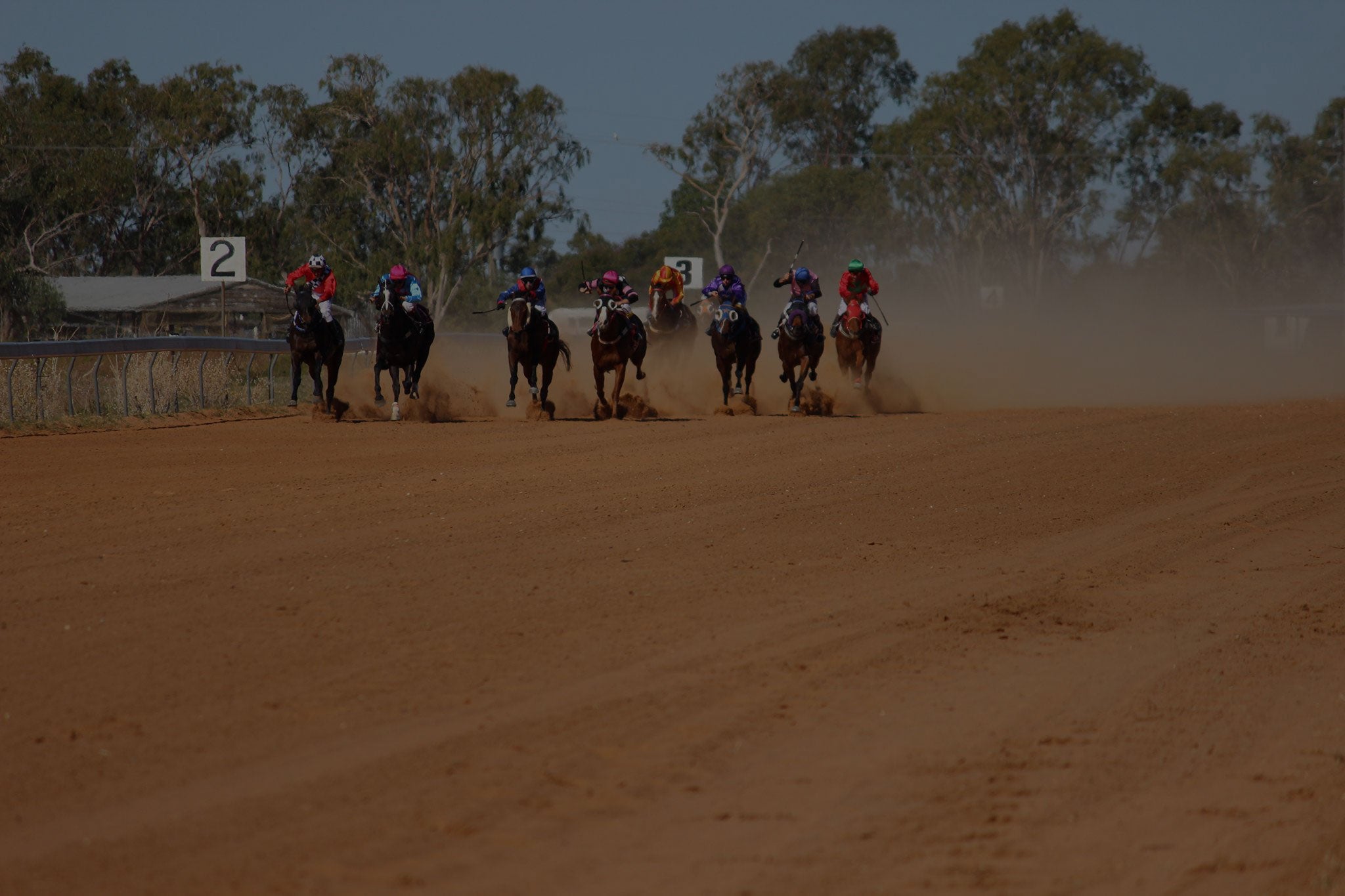 Bush horse racing