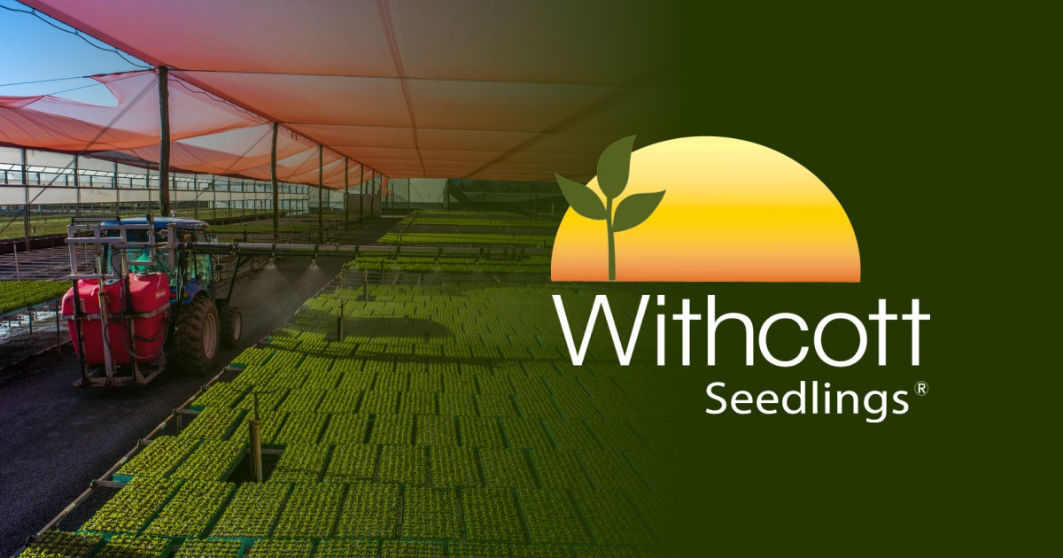 Withcott Tip Withcott Seedlings | Zeroseven