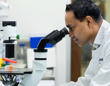 Researcher looking into a microscope