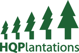 HQPlantations green logo