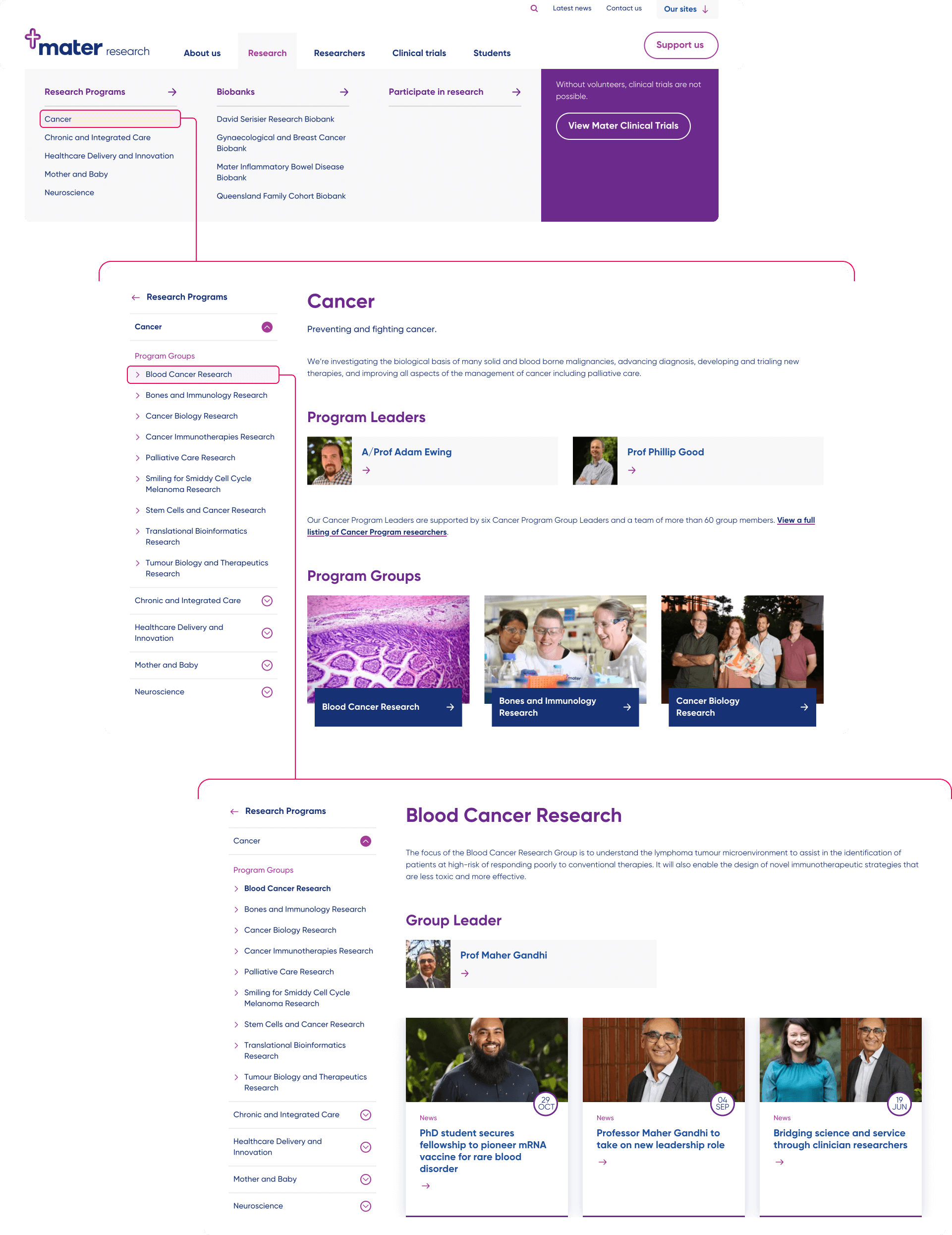 Screenshots of the Mater Research website showing a user journey through the site structure