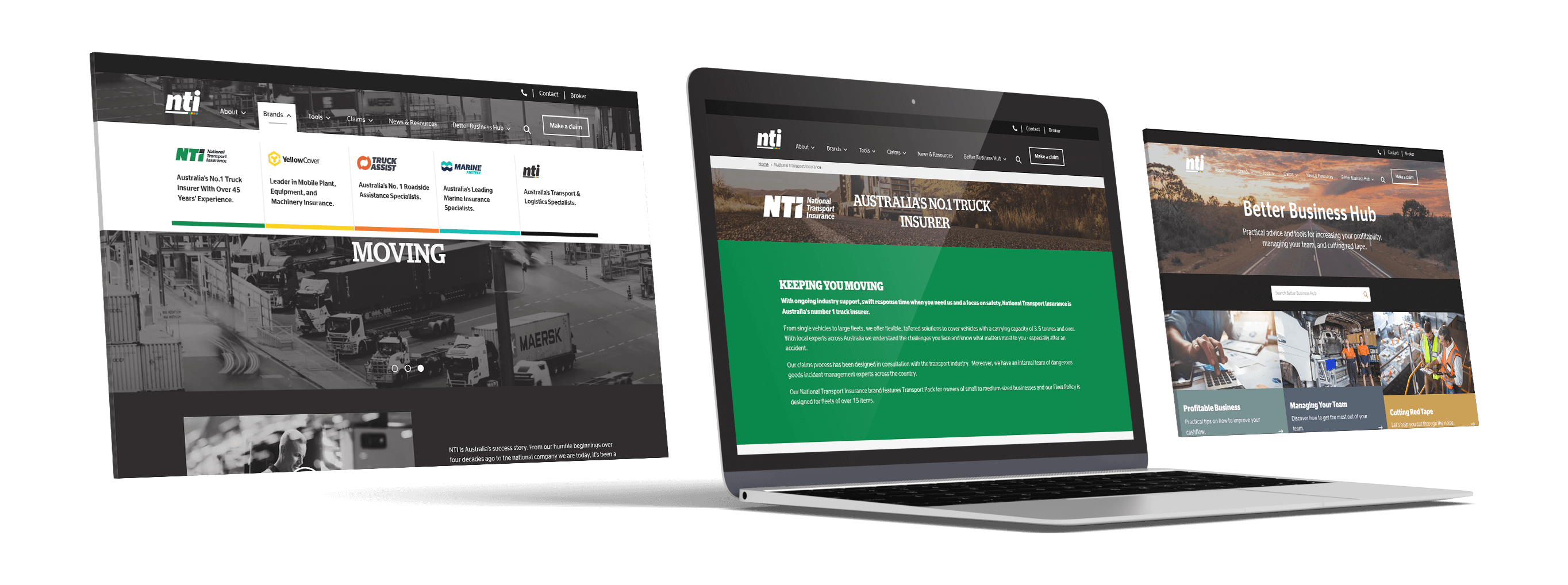 NTI Website mockup